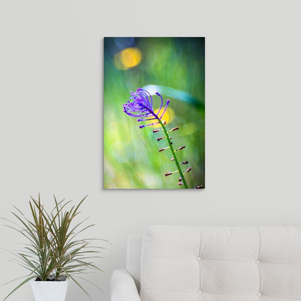 "Purple flower" Wrapped Canvas Art Print, 16"x24"x1.5"