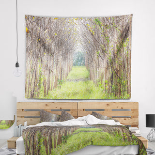 Pathway Through Fall Green Trees Landscape Photography Wall Tapestry, 92"x78"
