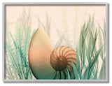 Ocean Seashell Seaweed Collage Design, 16"x20"