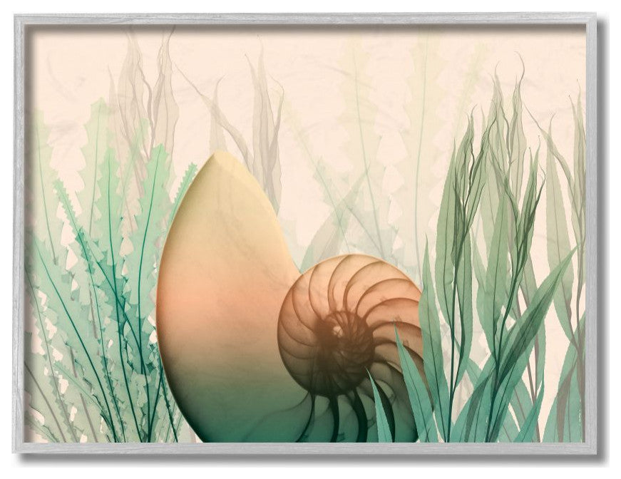 Ocean Seashell Seaweed Collage Design, 16"x20"