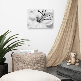 Grey Floral Canvas: High-key Lily Floral Nature Photo Wall Art Print, 12" X 16"
