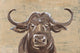 "No Bull" Painting Print on Wrapped Canvas, 60"x40"