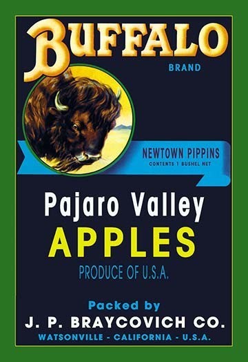 Buffalo Brand Apples- Fine Art Giclee Print 24" x 36"