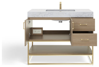 Bahia Bath Vanity, Oak, 42", Brushed Gold Hardware, Single, Freestanding