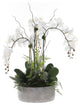 Real Touch Orchid Arrangement, Stone Round Cement Pot