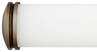 Hinkley Remi Large Led Vanity, Champagne Bronze