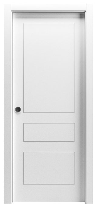 Sliding Pocket Door 28x80"