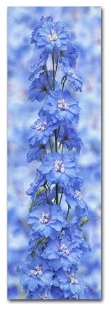 Cora Niele 'Blue Larkspur' Canvas Art