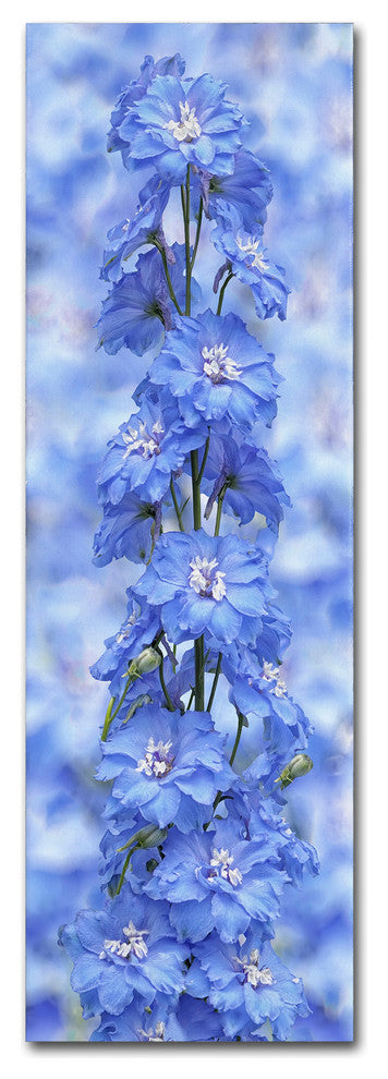 Cora Niele 'Blue Larkspur' Canvas Art