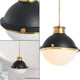 Frosted glass Matte Black Pendant Light fixture sleek metal shade Light