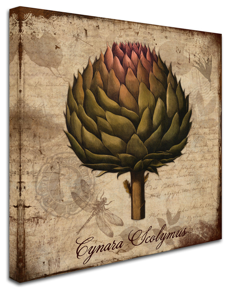 Tina Lavoie 'Cynara Scolymus' Canvas Art, 18" x 18"