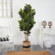 5.5' Oak Faux Tree, Handmade Natural Cotton Planter UV Resistant, Indoor/Outdoor