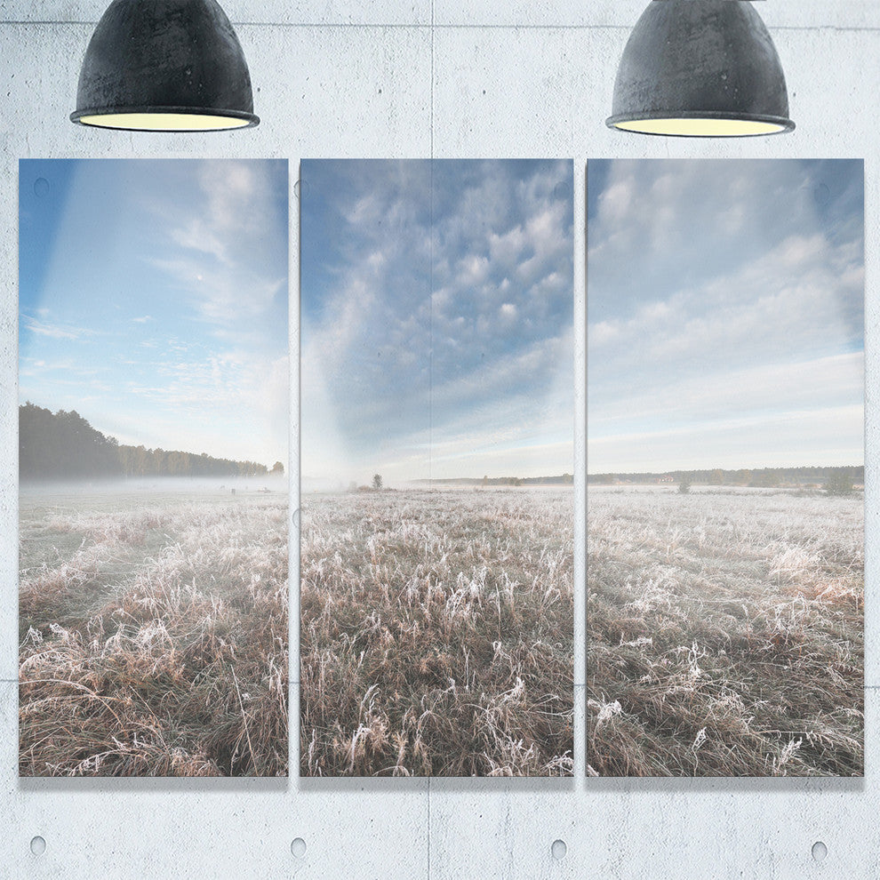 "Autumn Hoarfrost on Grass" Metal Wall Art, 3 Panels, 36"x28"
