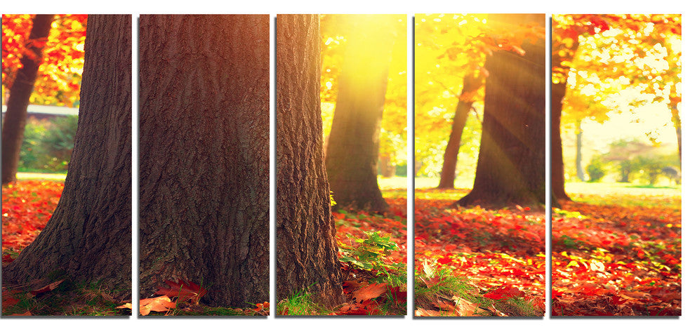 Autumn Trees in the Sunlight, Large Landscape Canvas Art, 60"x28", 5 Panels