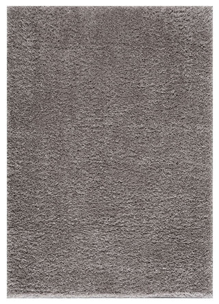 Gewnee Camdyn Super Soft Polyester Shag Area Rug, 4'x6'