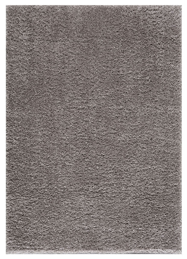 Gewnee Camdyn Super Soft Polyester Shag Area Rug, 4'x6'
