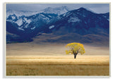 Open Range Landscape With Tree, Plaque, 10"x15"