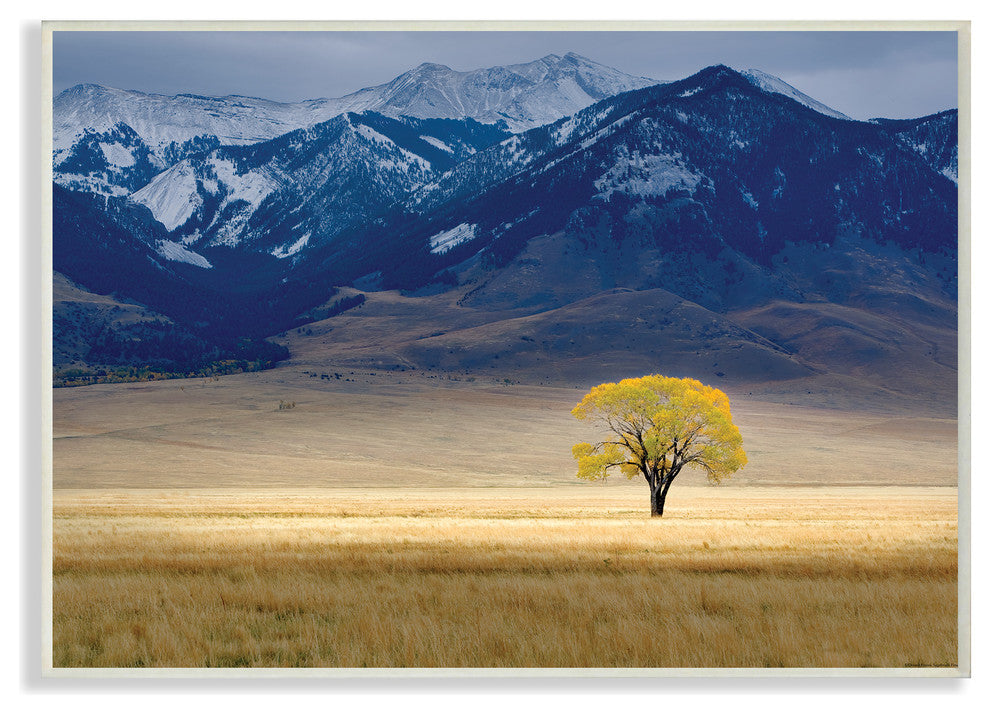 Open Range Landscape With Tree, Plaque, 10"x15"