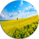 Lone Tree In Blooming Cozla Park, Landscape Round Metal Wall Art, 23"