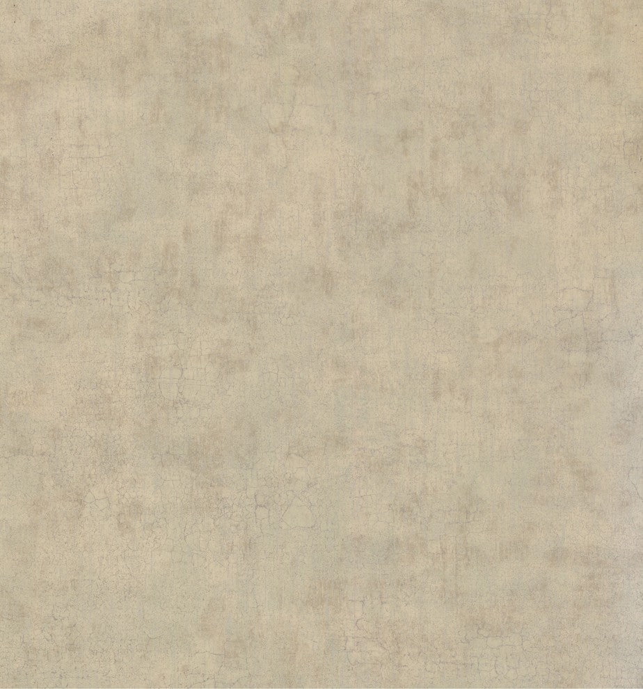 SOLID - Modern Color Beige Wallpaper Roll