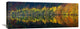 "Autumnal Silence" Stretched Canvas Giclee by Burger Jochen, 36x14"