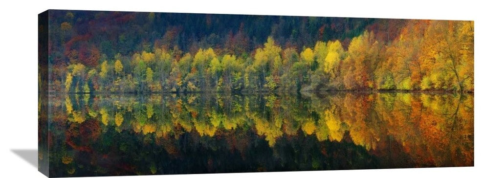 "Autumnal Silence" Stretched Canvas Giclee by Burger Jochen, 36x14"