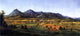 Edward Beyer The Peaks of Otter and the Town of Liberty Wall Decal