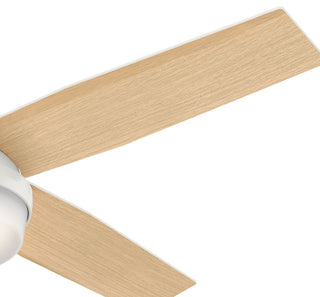 Hunter Fan Company 52" Dempsey LP Fresh White Ceiling Fan With Light and Remote