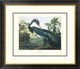 "Louisiana Heron (decorative border)"  by John James Audubon, 30x26"