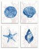 Blue Shells Starfish and Sand Dollar over Seaweed,4pc, each 13 x 19