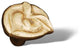 Polished Brass RKI Pretty Wrap Knob, RKICK204