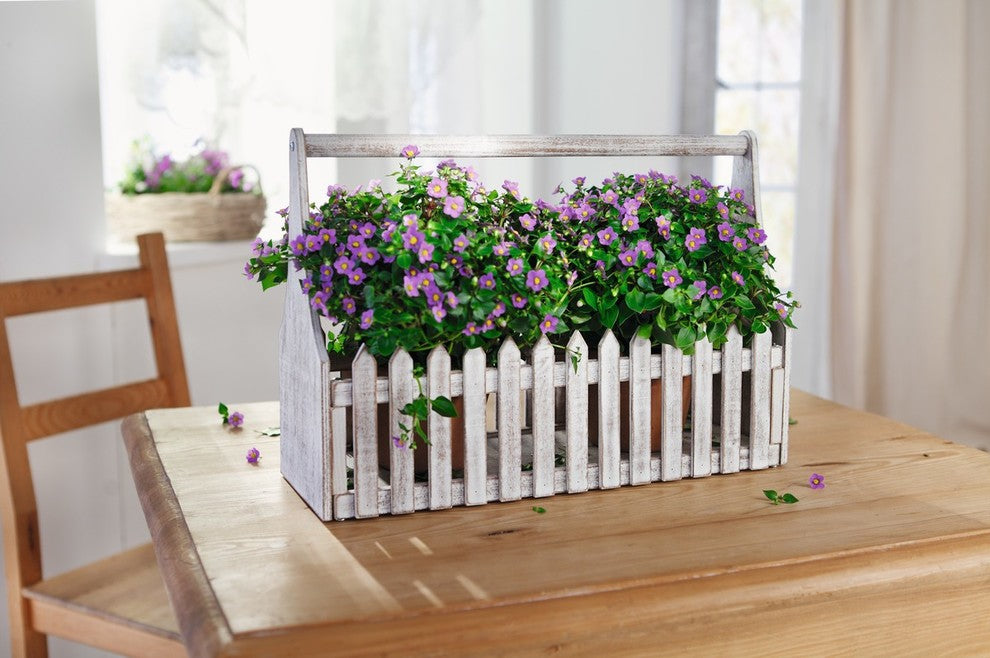 White Wooden Flower Planter Fence Picket Storage, Carry Basket with Handle