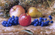 John William Hill Still Life with Grapes  Apples and Pear Gallery Wrapped Canvas