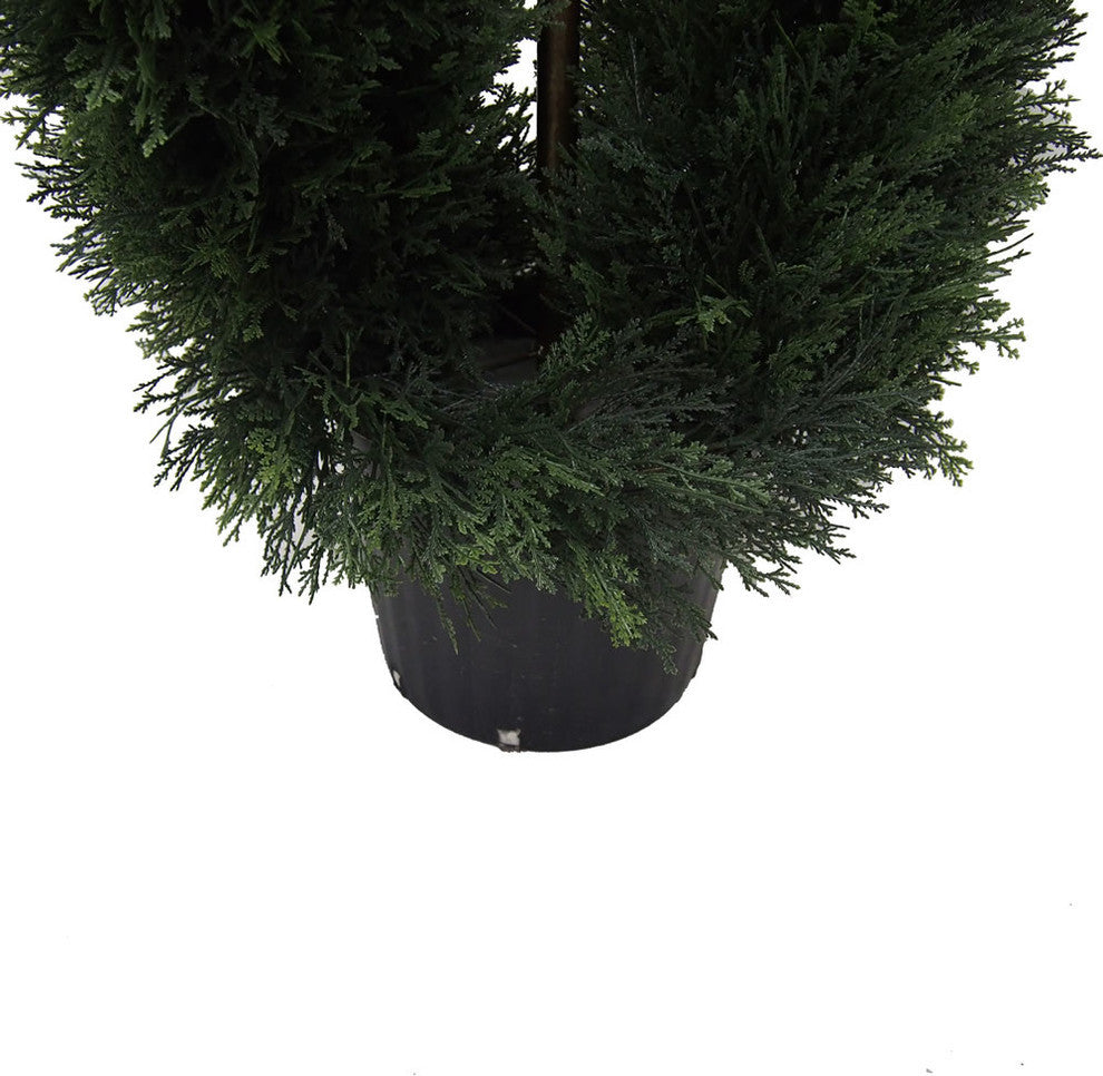 5' Cedar Double Spiral (Uv)