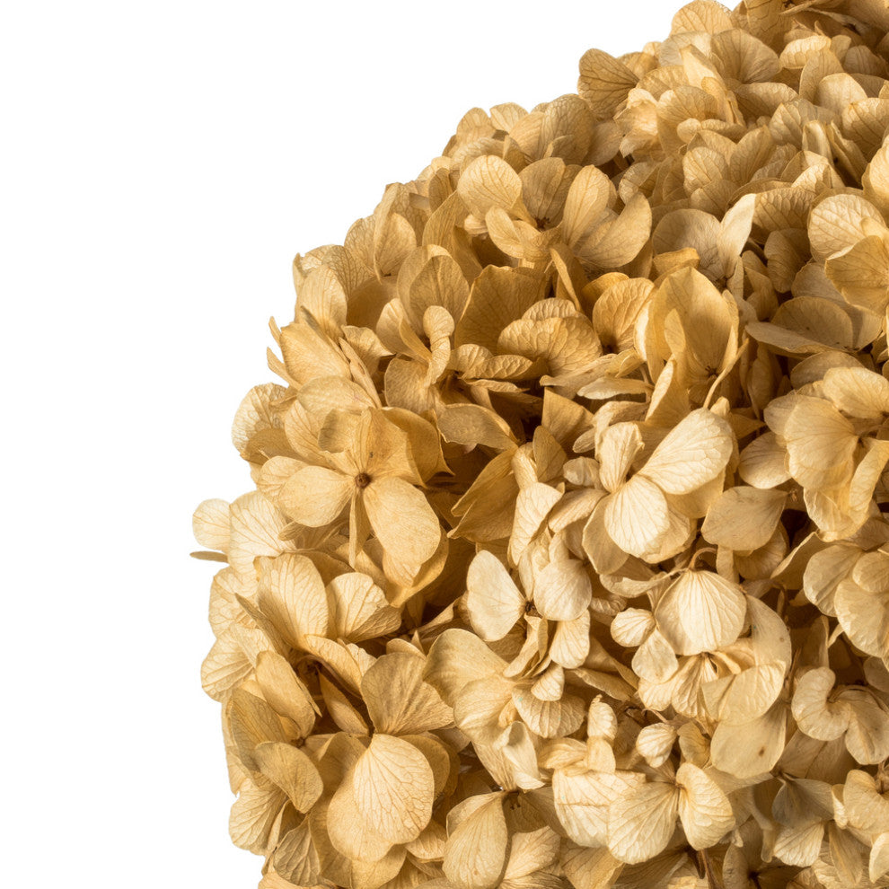 Vickerman 15" Hydrangea With Multiple Branch Segments