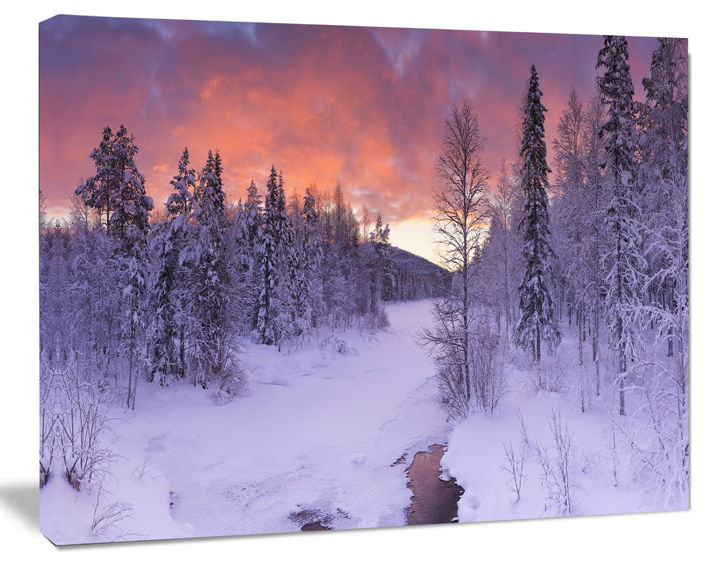 Finnish Lapland Trees in Winter, Landscape Canvas Art Print, 40"x30"