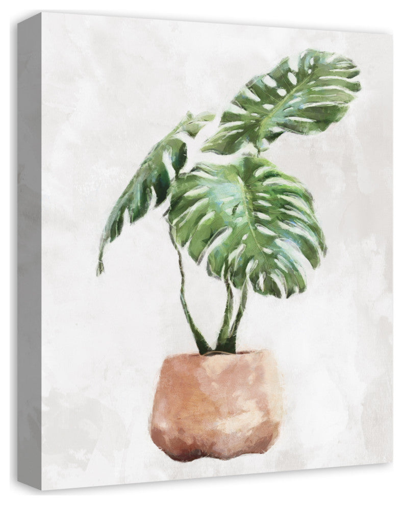 Monstera, Clay Pot 16x20 Canvas Wall Art