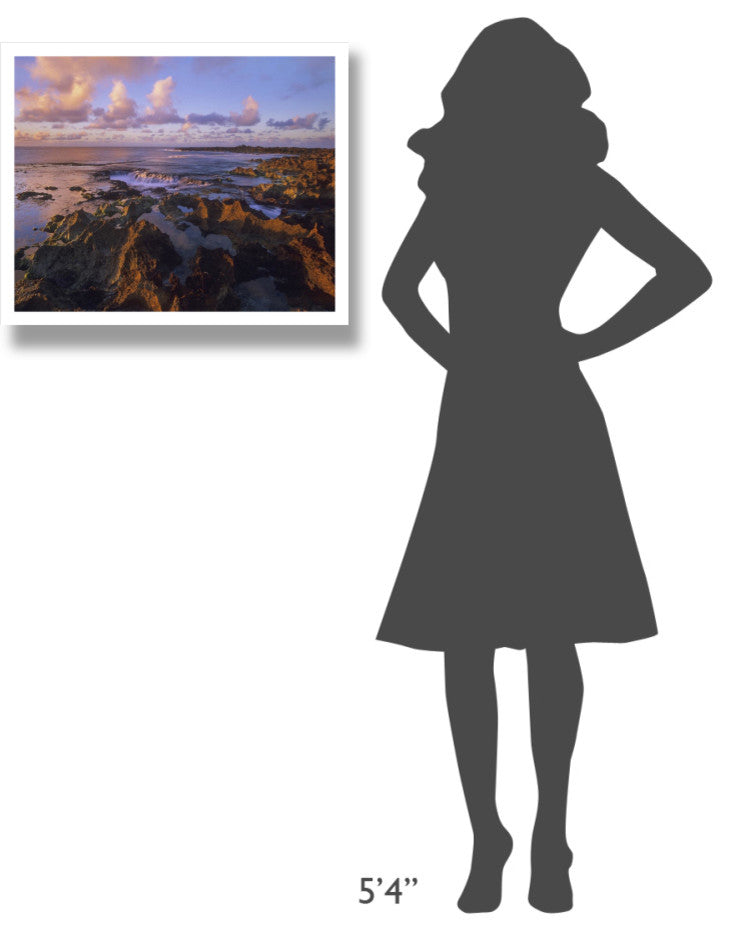 "Dusk at Shark's Cove, Oahu, Hawaii" Paper Print by Tim Fitzharris, 26"x22"