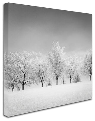 'Ice Storm' Canvas Art by Dave MacVicar