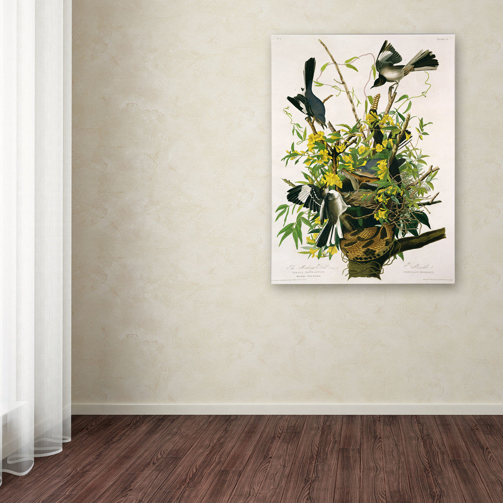 ''Mocking Birds and Snake II'' Canvas Art by John James Audubon