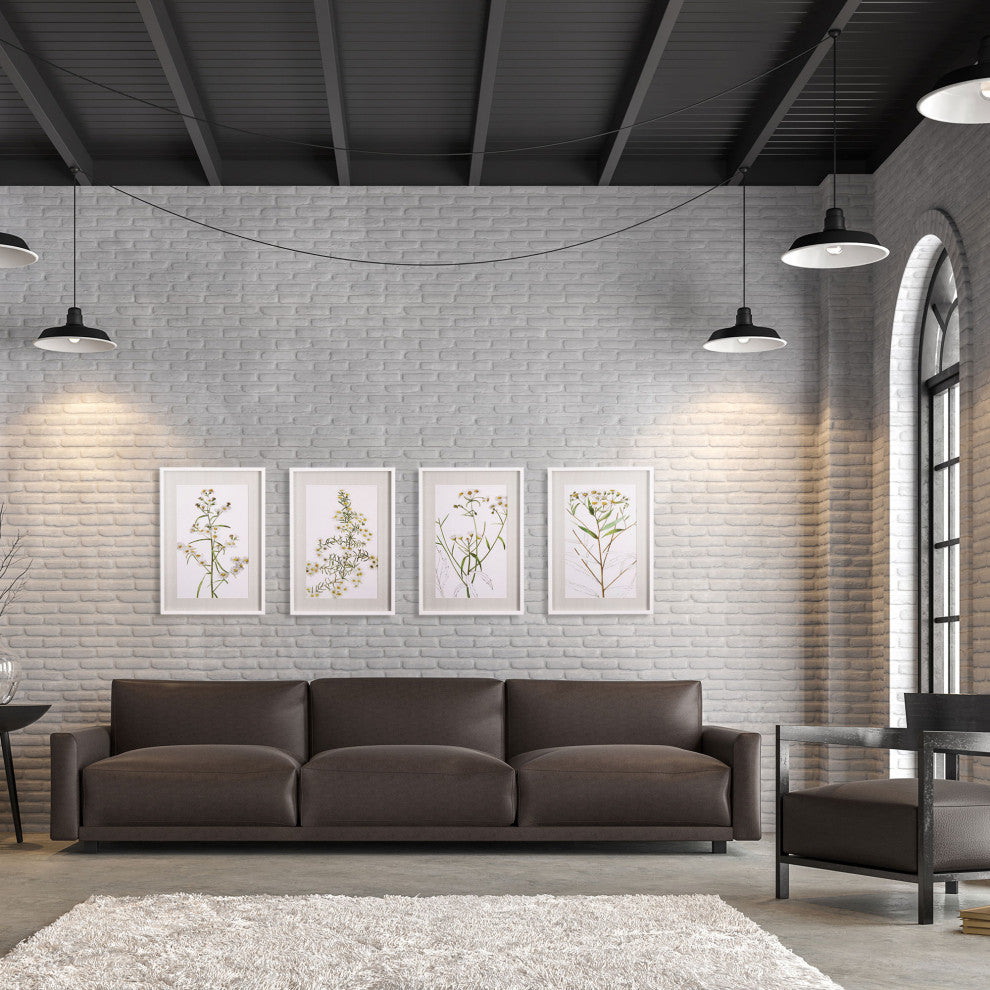 Daisy Prints, Set of 4