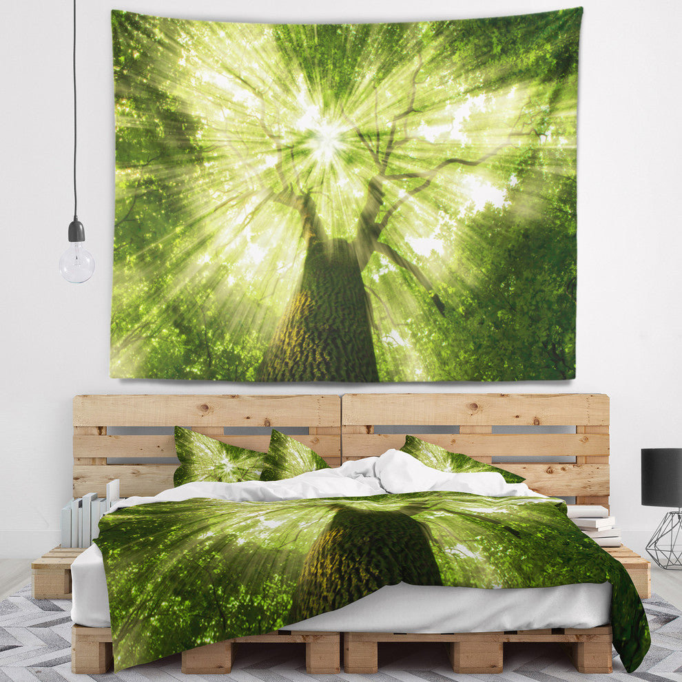 Sunlight Peeking through Green Tree Landscape Wall Tapestry, 39"x32"