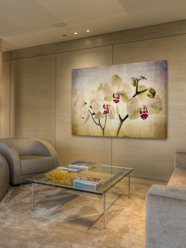 "Pale Orchids Wide" Painting Print on Canvas by Malek