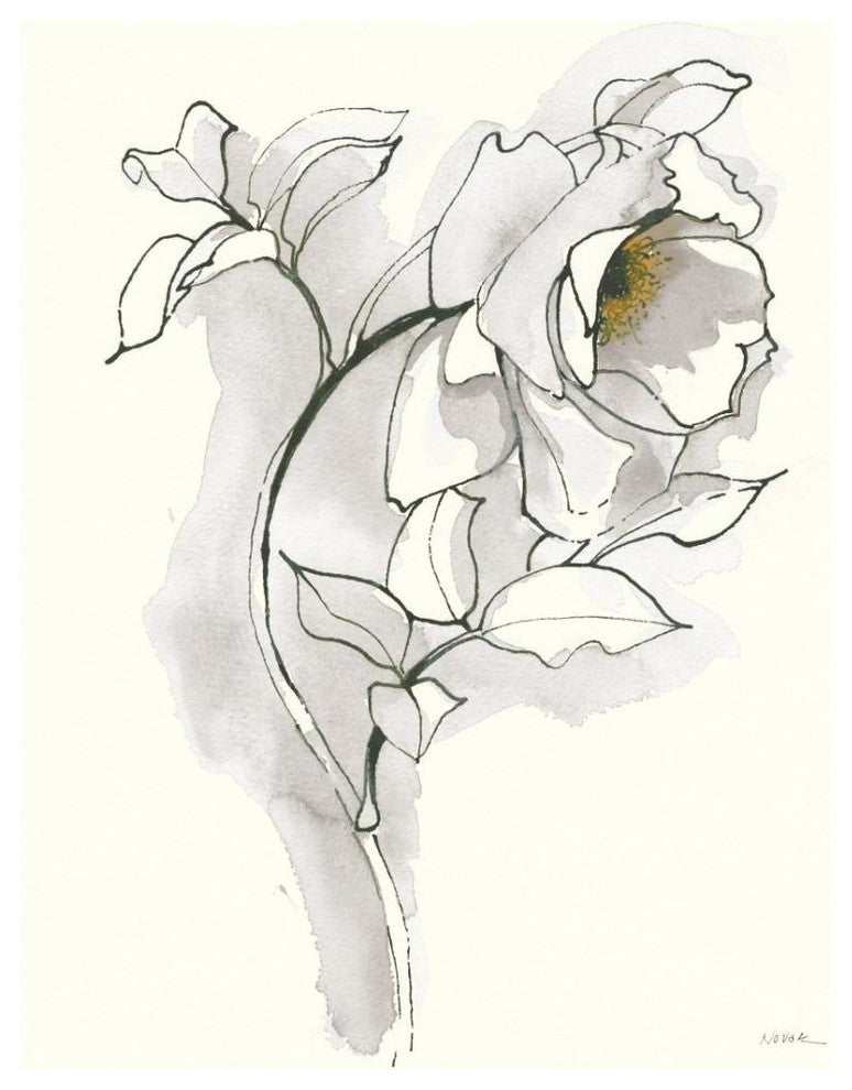 "Carols Roses III Soft Gray" Digital Paper Print by Shirley Novak, 24"x30"
