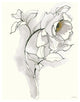"Carols Roses III Soft Gray" Digital Paper Print by Shirley Novak, 24"x30"