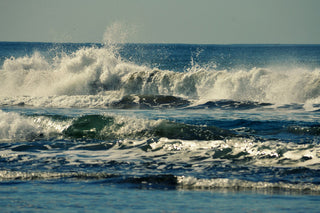 "Forever Young" Painting Print on Wrapped Canvas