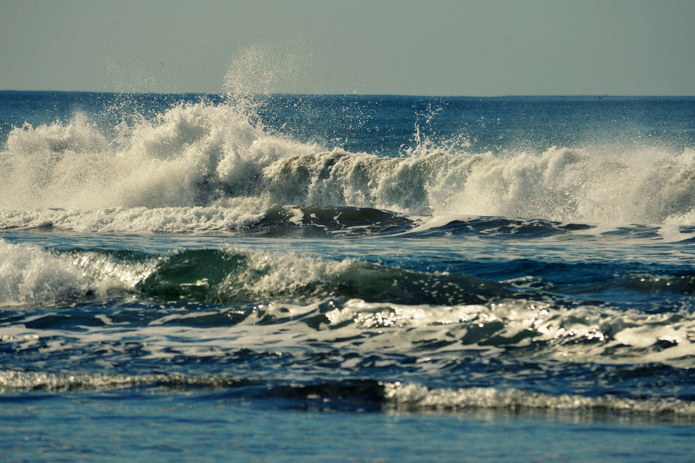 "Forever Young" Painting Print on Wrapped Canvas