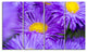 "Bunch of Large Violet Flowers" Flower Canvas Wall Art, 4 Panels, 48"x28"