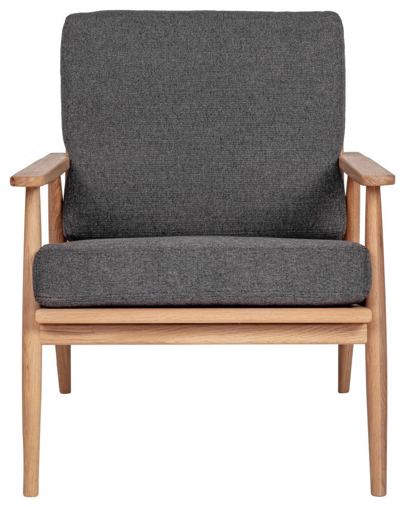 Mid - Century Modern Harper Lounge Chair Anthracite - Grey