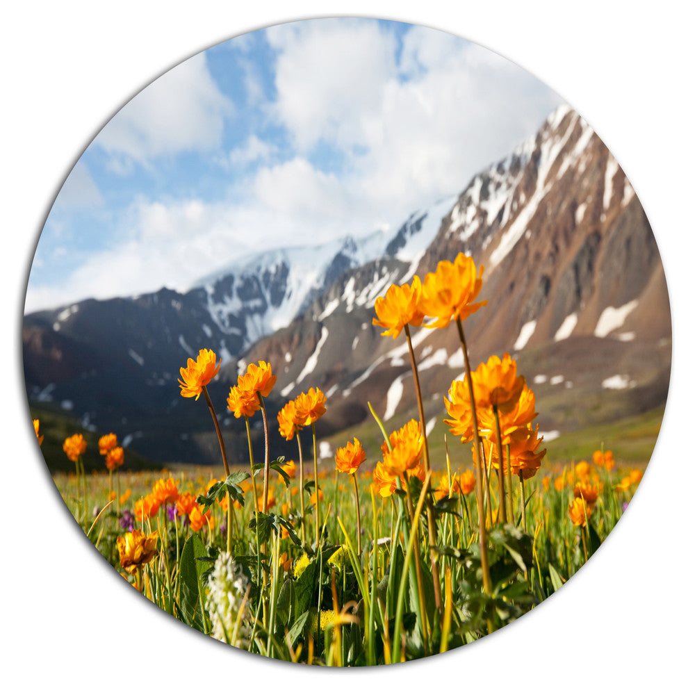 Mountain Meadow With Yellow Flowers, Flower Disc Metal Wall Art, 11"